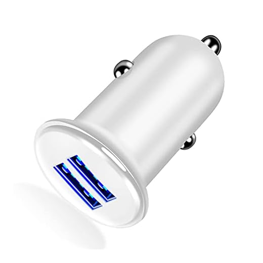 PETER LI Dubbel USB Billaddare 5V 3.1A Max PASSA För iPhone x 8 7 plus bil cigarettändare adapter passform för Samsung S7 S6 USB Laddare (Color Name : Pure White)