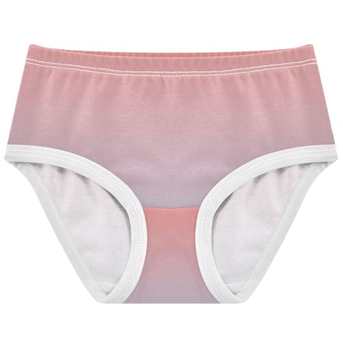Joisal Durable Toddler Girls Underwear 2t Cotton Little Girl Panties Coral Pink Light Steel Blue Gradient Briefs Girls Undies