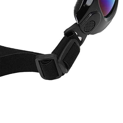 Lunettes de soleil de gros chien pour stopper les irritations oculaires liées au vent