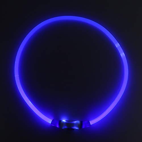 Coleira LED recarregável para cães, recarregável, com cabo de carregamento USB, iluminação luminosa