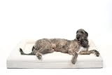 Bluewater Dog Luxury Boucle Orthopedic Memory Foam Dog Bed with Waterproof Liner and Machine Washable Cover with YKK Zippers (X-Large, 61' L x 44' W x 7' Th, Cloud)