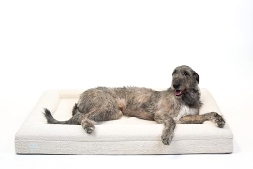 Bluewater Dog Luxury Boucle Orthopedic Memory Foam Dog Bed with ...