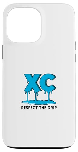 XCNXJg[ H銾fUC CCjO`[p X}zP[X iPhone 13 Pro Max p