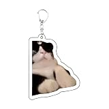 Genérico llavero de gato, dije de animal acrílico, coleccionable de tamaño pequeño para adolescentes, detalles de personajes de, categoría de accesorios, adultos, parejas, amigos, compañe