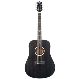 WASHBURN guitare folk Deep Forest Dreadnought ebony matte - Les Beatles, Paul McCartney, John Lennon, RIngo Starr, George Harrison