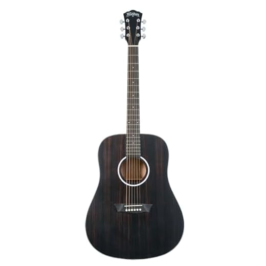WASHBURN guitarra folk Deep Forest Dreadnought ébano mate