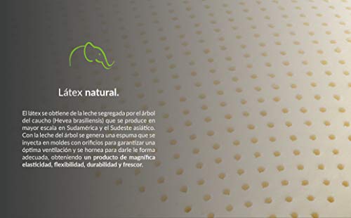 Recopilación de Lester que Puedes Comprar On-line. 14 Imagen adicional