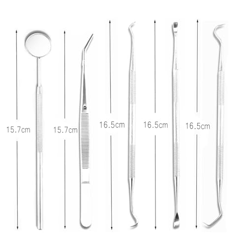 Image of Professional Oral Care Kit Advanced Clean- Portable Dental Tools,Stainless Steel Dental Hygiene Kit with Dental Picks for Men Women Kids and Pet Care(5pack)- with Case