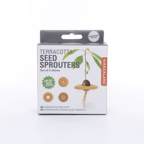 Image for Eco Friendly Terracotta Growing Seed Starter Sprouters Germination Plant Plates