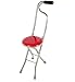 ZQIZW Drive Medical Canne-siège Béquilles âgées Walker Tabouret Pliant léger en Tabouret à Quatre Pattes, Rouge