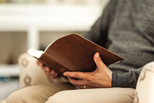 Image of NIV, Journal the Word Bible (Perfect for Note-Taking), Double-Column, Leathersoft, Brown, Red Letter, Comfort Print: Reflect, Take Notes, or Create Art Next to Your Favorite Verses