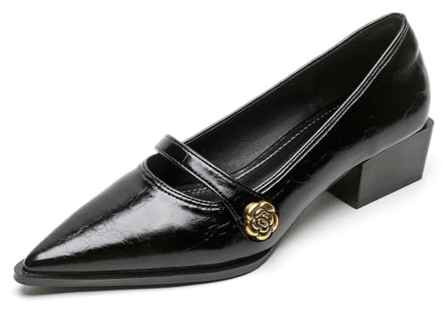 Mary Jane Shoes for Women Pointed Toe Chunky Low Heels Vintage Pumps Dress Shoes Adjustable Strap for Work Wedding Office Casual