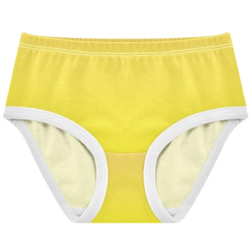 Joisal Yellow Gradient Ombre Little Girl Panties Toddler Underwear Floral Cotton Fun Undies Kids Briefs 2t