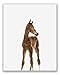 Baby Farm Animals Poster Prints - Set of 6 (8x10) Adorable Furry Barn Portraits Wall Art Nursery Decor - Calf (Cow) - Chick (Chicken) - Donkey - Foal (Horse) - Duckling (Duck) - Piglet (Pig)