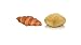 Vestakorn Handwerksbackwaren, Frühstücksbeutel - 3x Frische Brötchen & 2x Frisches Croissants, selbst aufbacken in 6 Minuten