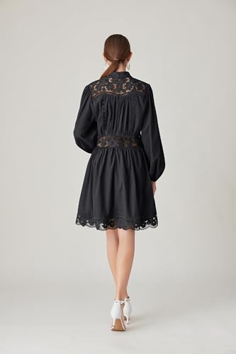 LAI MENG FIVE CATS Women's V-Neck Elegant Lace Long Sleeve Lantern Sleeve Button up Casual Mini Dress2