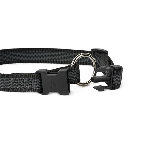 JULIUS K-9 220CG Color & Gray Halsband, 20mm*27-42 cm, verstellbar, schwar-grau, 20 mm (27-42 cm)