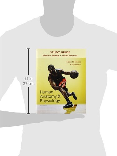 Study Guide for Human Anatomy & Physiology - Image 3