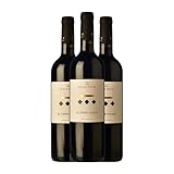 Vega Real Tempranillo Ribera del Duero Crianza 75 cl Vino tinto (Caja de 3 Botellas de 75 cl)