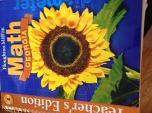 Spiral-bound Houghton Mifflin Mathmatics Georgia: Teacher's Edition Vol 2 Level 5 2007 Book