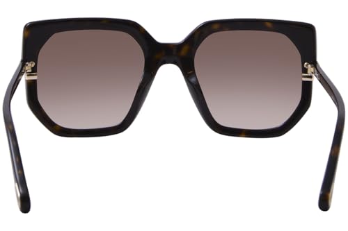 Brown Chloe CH0240S Sunglasses4