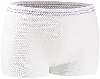 Carer Disposable Pants, 10 Pcs Women's Net Knickers Mesh Pants for Maternity/C-Section Recovery/Incontinence/Travel