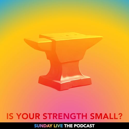 Strengthening Your Fortitude cover art