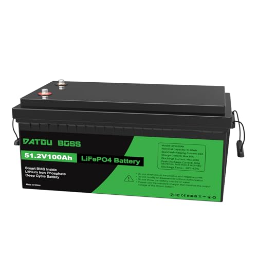DATOUBOSS 48V 100Ah LiFePO4 Battery with 15S LiFePO₄ cell 48V
