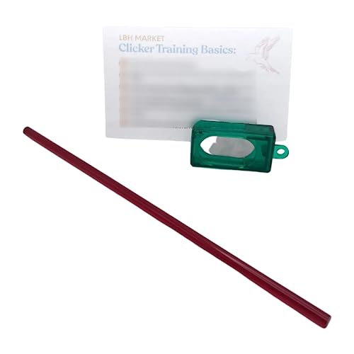 LBH MARKET Bird Training Kit