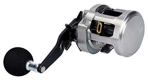 ダイワ(DAIWA) ベイトリール 15 キャタリナBJ 200SH (2015モデル) 2枚目