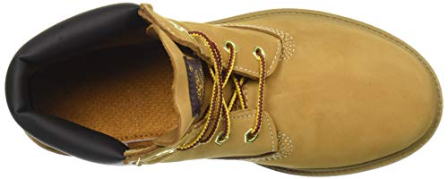 Image of Timberland Little Kid /Big Kid 6 inch Premium Waterproof Boot