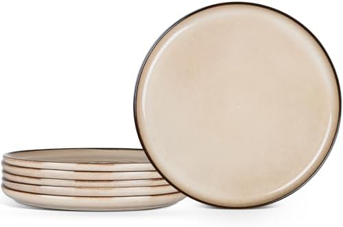 E-far 10.5” Ceramic Dinner Plates Set of 6, Large Reactive Glaze ...