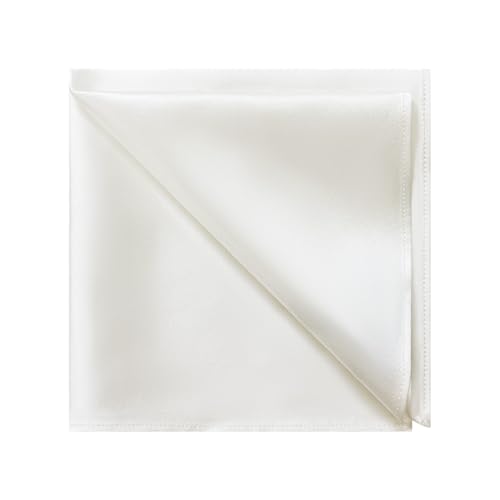 DAISYSILK 100% Mulberry Silk Pocket Squares for Men,...
