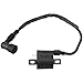 QAZAKY Ignition Coil Compatible with Yamaha Bear Tracker 250 Trail Boss 330 YFM350 Warrior Big Bear Raptor TTR125 ATC185S ATC200 ATC200ES ATC200S