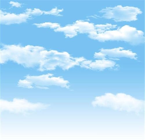 AOFOTO 5x5ft Blue Sky White Clouds Photography Background Spring Winter Party Decoration Birthday Wedding Cloud Backdrop Baby Kid Newborn Girl Boy Portrait Photo Studio Props Vinyl Wallpaper