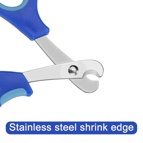 BOXOB Nagelknipser und Feile für Bartagamen, Edelstahl Kleintiere Zehennagelknipser Schere Professionelles Fellpflege Haustierwerkzeug für Reptilien Schildkröten Chamäleons Leguane (Blau)