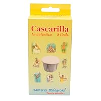 Santeria Miracolosa – Esoterische Muschel (8er-Pack) | Energieschutz, spirituelle Reinigungs- und Reinigungsrituale | 1. Qualität