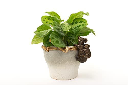Pot Buddies Handmade Koala and Cub Figure Plant Pot Hanger - Decorative Hanging Garden Ornament - Flower Planter Figurine - Image 2