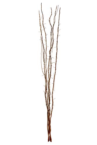 Premier Housewares Twigs 80 Lights Home Decor Twig Twig Lights Twig Tree Home Decorations Twig Lights Mains Powered Decorative Twigs 5 x 5 x 125.5