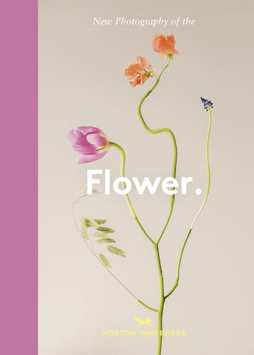 New Photography of the Flower.