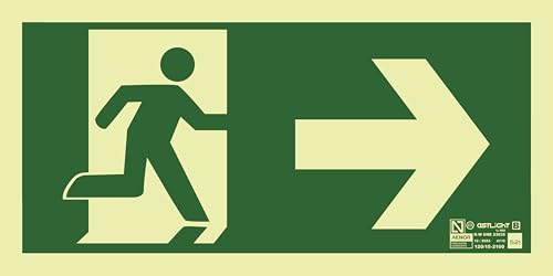 Astlight SAL5215.7F Panneau d'évacuation directionnel photoluminescent, multicolore [français non garanti]