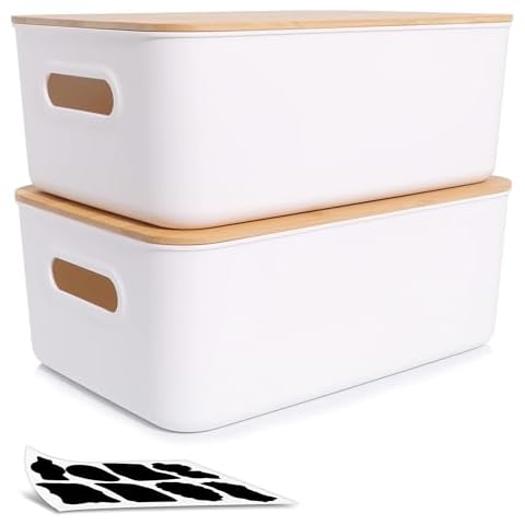 Citylife 2 PCS Storage Bins with Bamboo Lids Plastic Storage Containers for Organizing Stackable Storage Box with Handle, 15.16 x 10.79 x 5.83 inch Cover