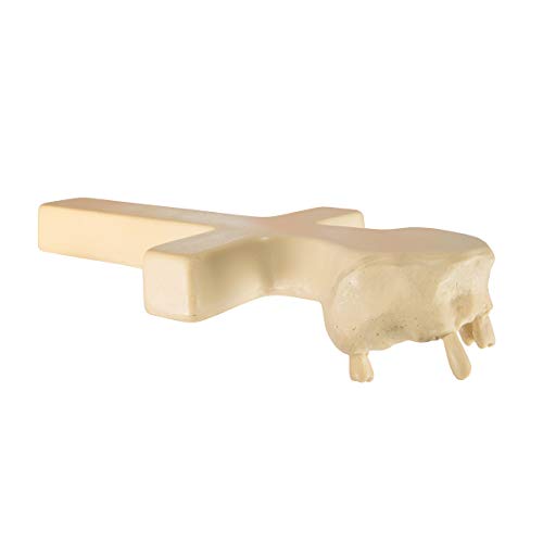 Image of W99981 Maxilla,Grade: 1 to 1, 0.75 inch Height, 4.12 inch Wide, 9 inch Length