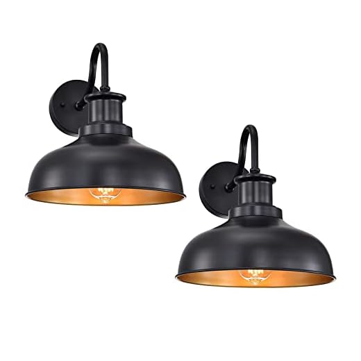 Diyel Farmhouse Gooseneck Barn Light Outdoor Wall Sconce Vintage Outdoor Wall Mount Light Exeterior Wall Lighting Fixture Black Industria Wall Lantern for Porch, Entryway, Garage, 2 Pack RZ007-2BK