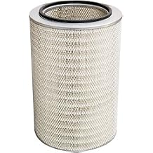 Killer Filter Replacement for Big A 93235