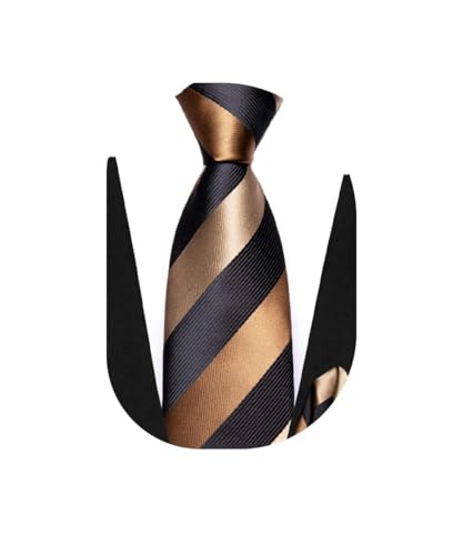 Dubulle Ties for Boys Self Tie Silk Paisely Striped Kids Necktie and Pocket Square Set for Age 8-11