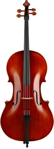 Howard Core DR10VC �h���S���`�F�� - �~�f�B�A��/���b�h�u���E���j�X�A4/4�T�C�Y