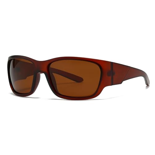 Lunettes de soleil de qualité supérieure café pour homme au design épuré