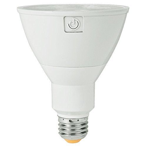 Best 150 Watt Led Bulb Home Depot