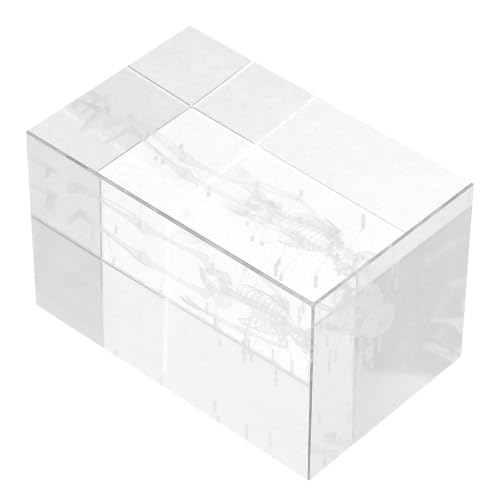 Modèle anatomique de cœur et poumons en cube 3D pour la décoration de bureau